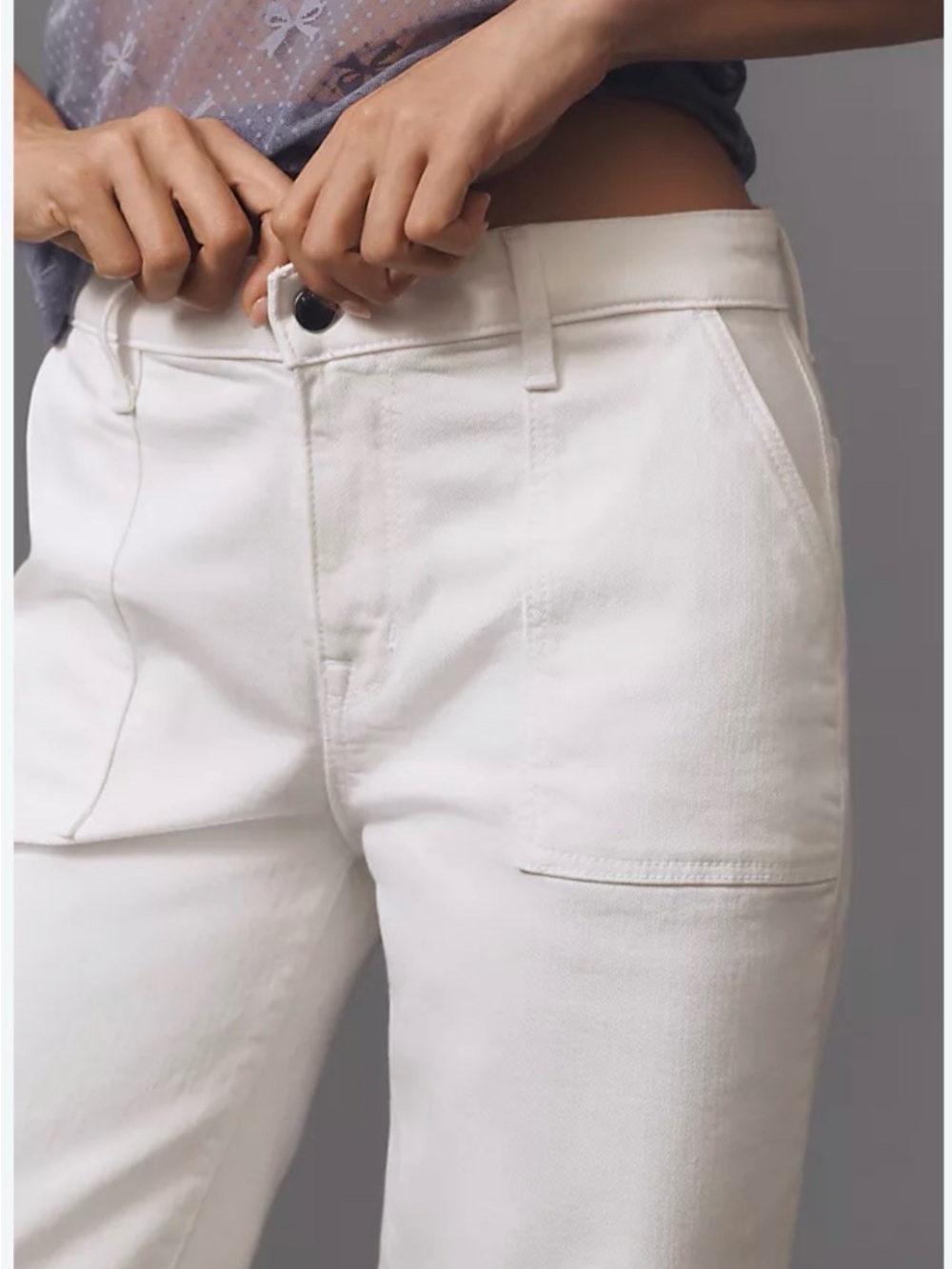 Anthropologie Wanderer Women's Linen Blend Pant Sz 32 NWT